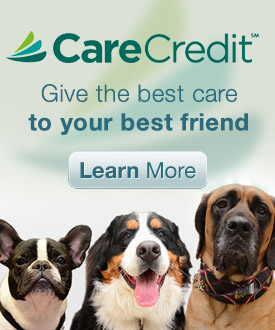 Apply for CareCredit today! - Sarasota Animal Hospital