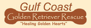 Gulf Coast Golden Retriever Rescue
