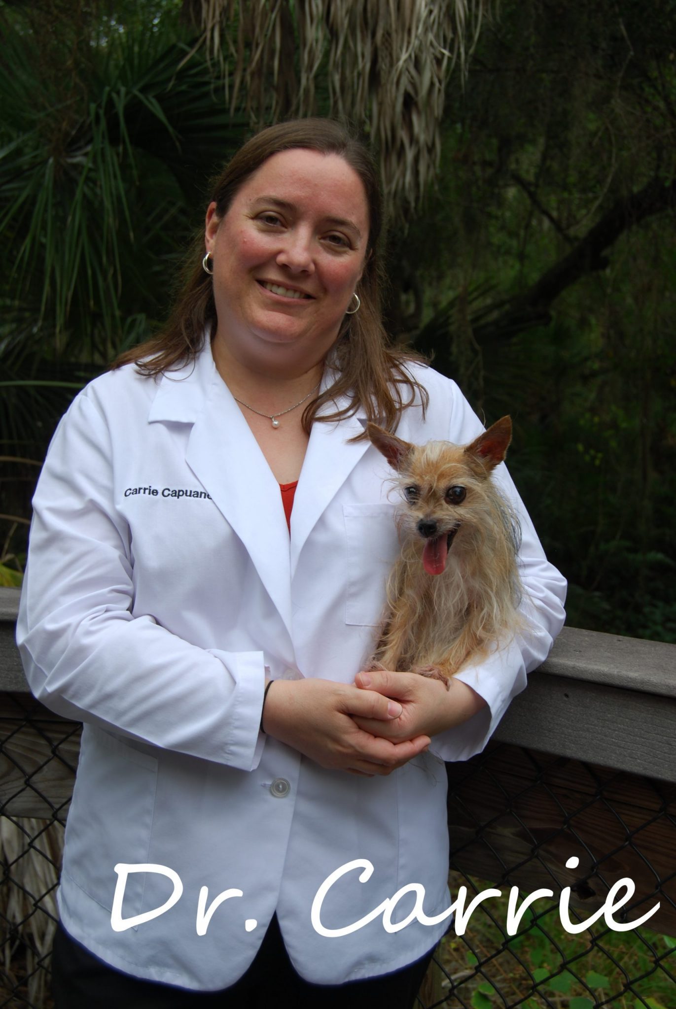 Dr. Carrie Capuano, D.V.M. - Sarasota Animal Hospital