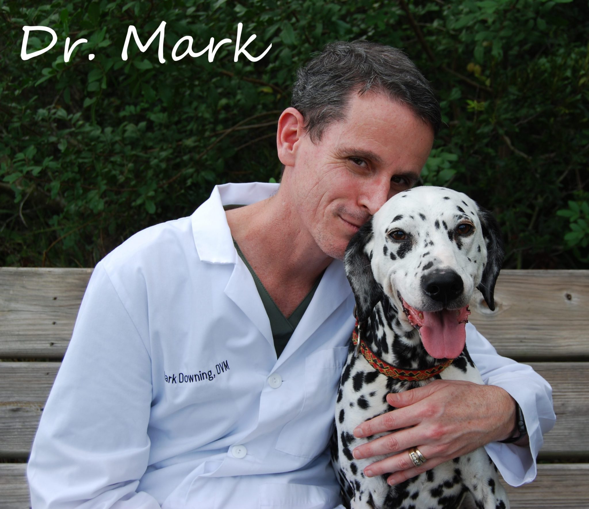 Dr. Mark Downing - Sarasota Animal Hospital