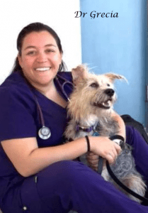 Dr. Grecia Corredor - Sarasota Animal Hospital