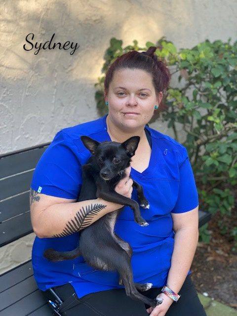Sydney - Sarasota Animal Hospital Staff
